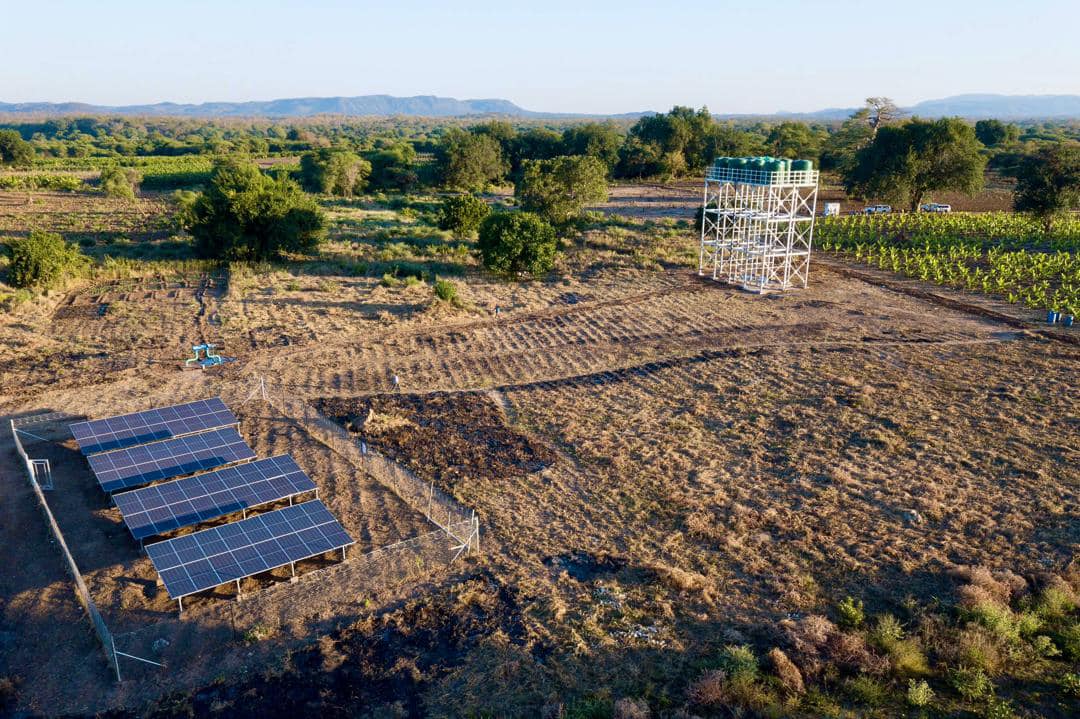 As COP 29 opens, African Group of Negotiators on Climate Change re-affirmed its position, highlighting adaptation and climate finance as its top priorities.