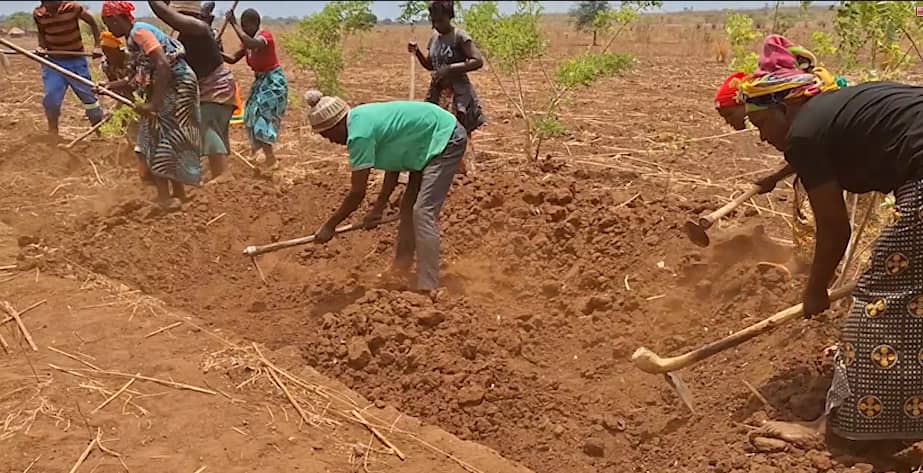 Chieftainess Mwanjabantu advocates for indigenous seeds to combat climate change